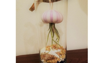 Plant Nite: Jelly Fish Jar - Make 2 with Air Plants